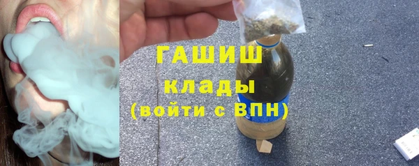 сатива Балахна